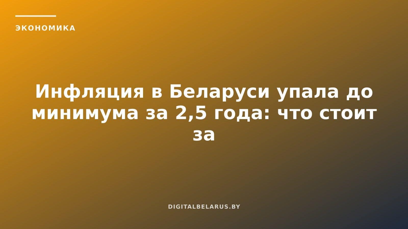 Инфляция в Беларуси упала до минимума за 2,5 года: что стоит за цифрой 4,3%