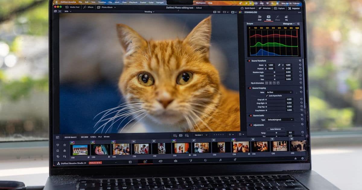DaVinci Resolve 21 получил фоторедактор — может ли он заменить Lightroom