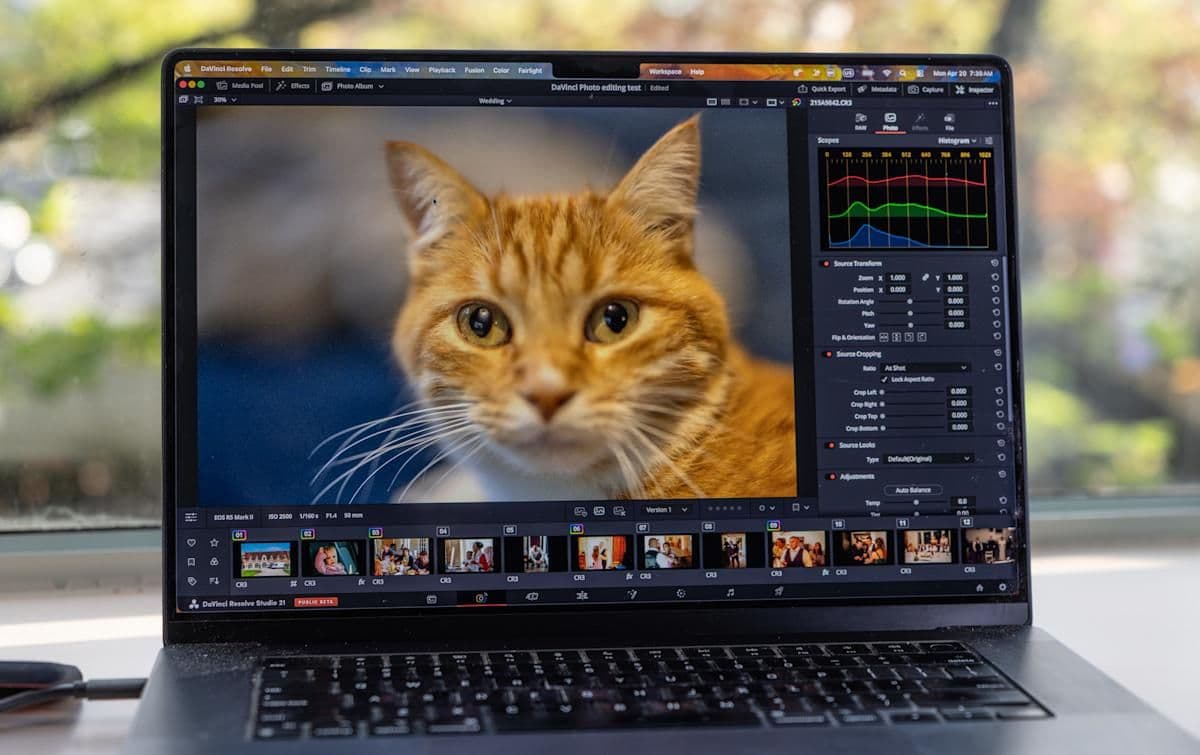 DaVinci Resolve 21 получил фоторедактор — может ли он заменить Lightroom