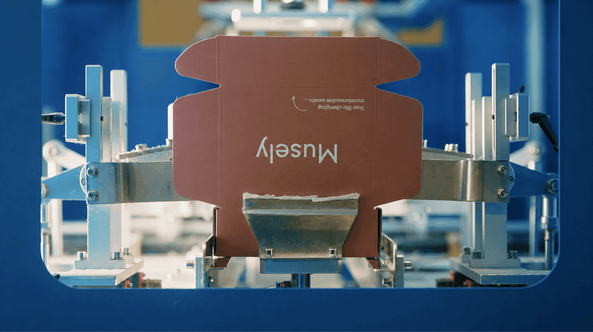 Musely привлекла $360 млн от General Catalyst, не отдав ни доли в компании