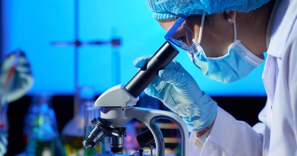 Беларусь и Алжир запускают сотрудничество в ИИ, биотехнологиях и агропроме