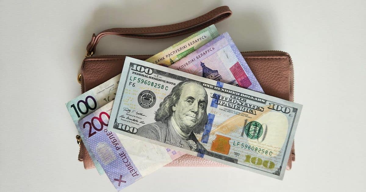 Белорусы продали валюту на рекордные $311 млн за май: что стоит за цифрами НБ РБ