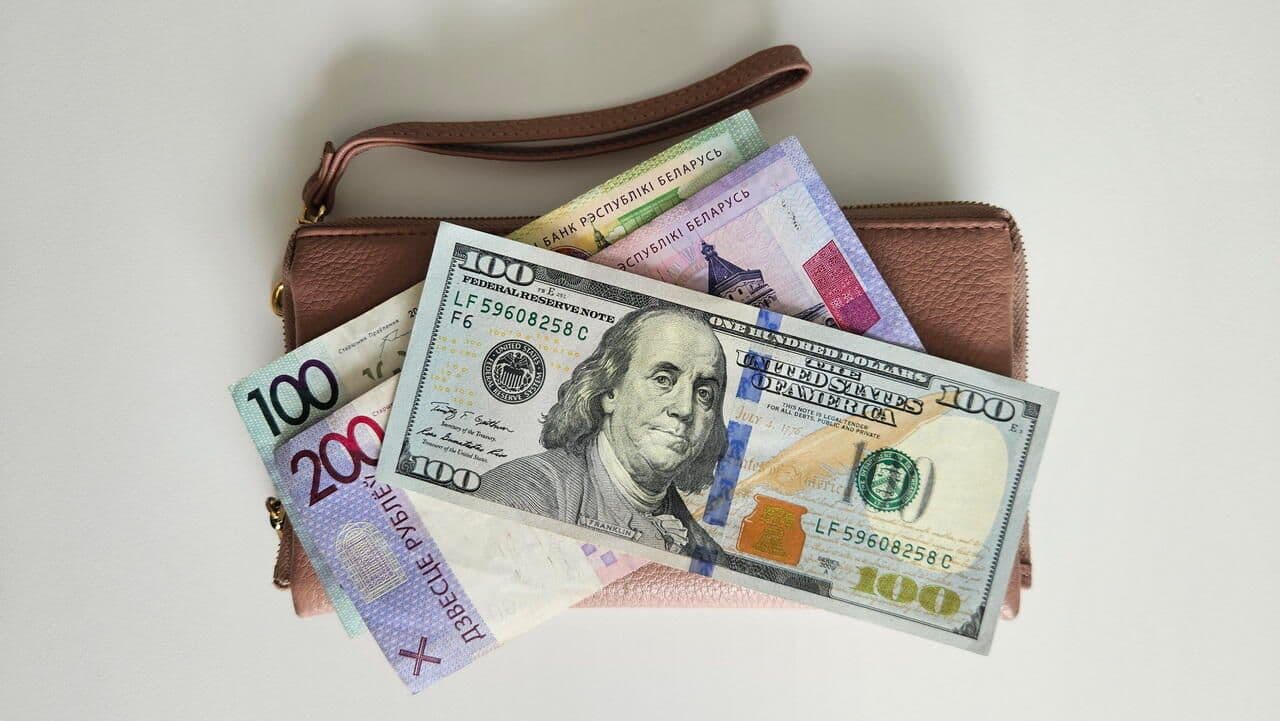 Белорусы продали валюту на рекордные $311 млн за май: что стоит за цифрами НБ РБ