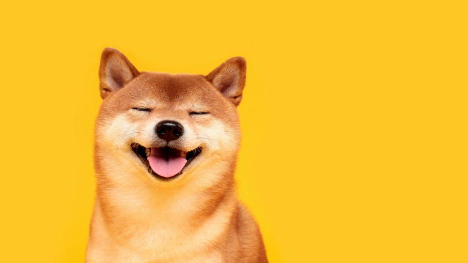 Shiba Inu вырос на 36% за сутки: южнокорейские трейдеры разогнали мем-токен без видимых причин