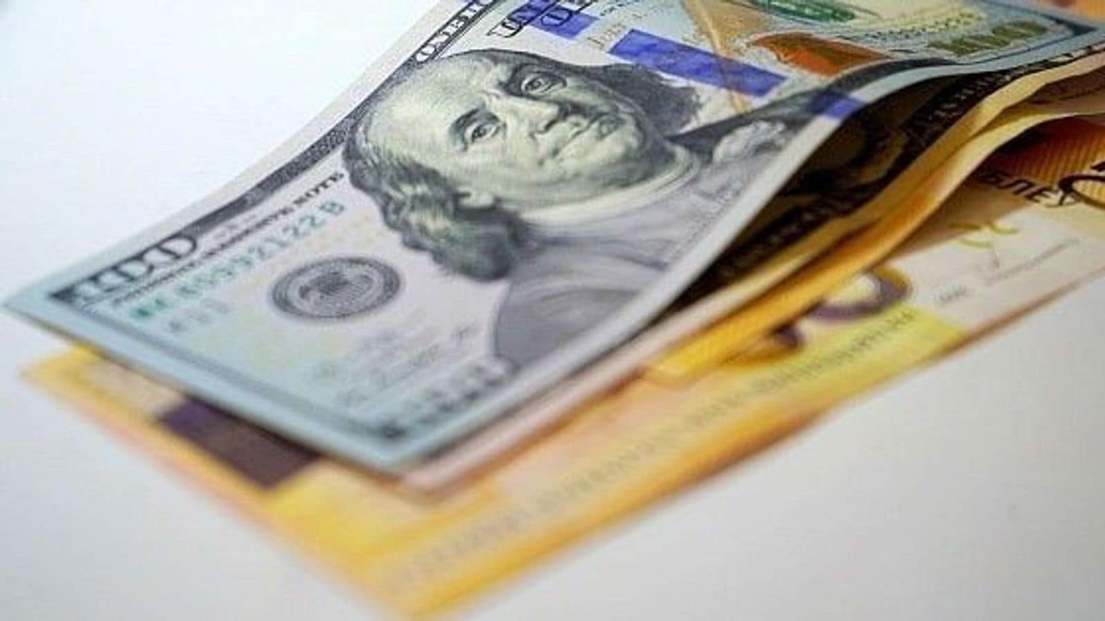 Белорусские компании вернулись к чистым покупкам валюты в мае 2026 года