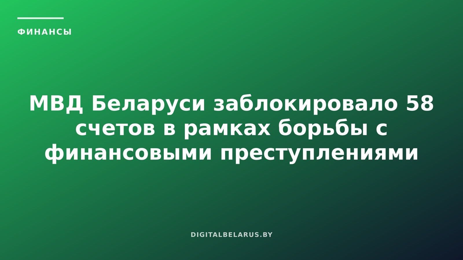 МВД Беларуси заблокировало 58 счетов в рамках борьбы с финансовыми преступлениями